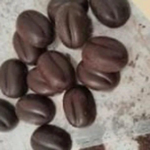 Cacao en Forma de Café